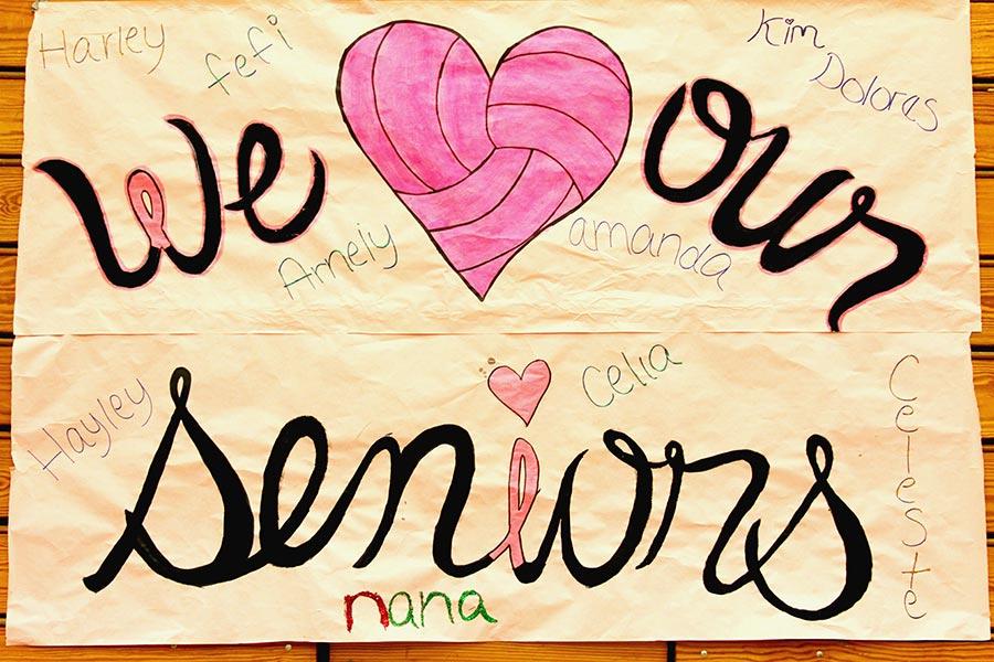 Volleyball poster for seniors.