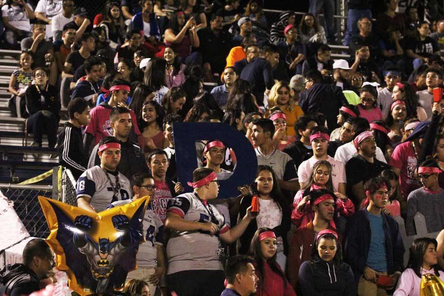 Spirit Section Pink Out Night, 2016
