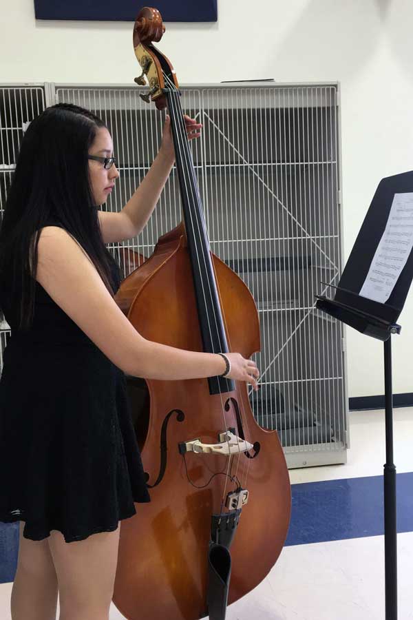 Junior Patty, cello player reads her notes.