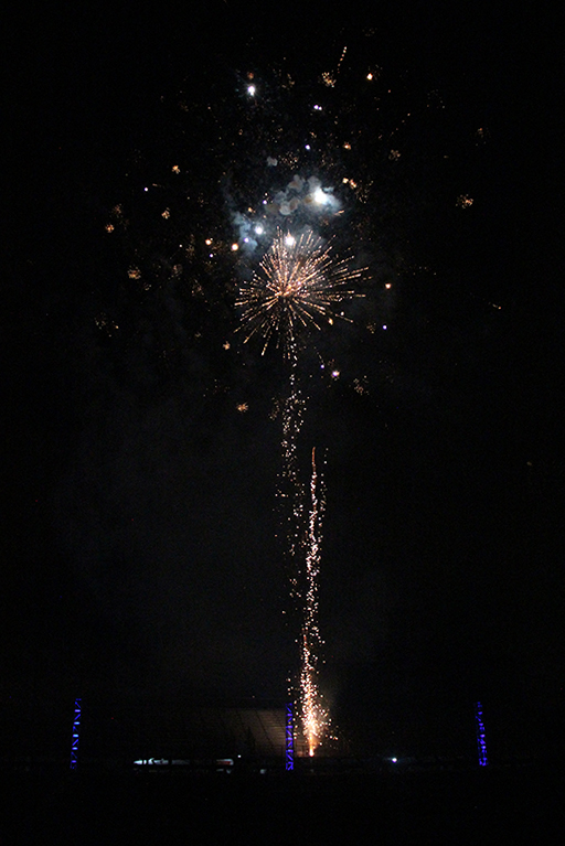 Firework Spectacular