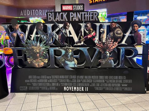 Black Panther: Wakanda Forever premiered Nov. 11, making $181 million in its opening weekend.